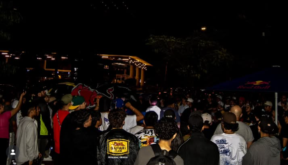 Web sobre Freestyle – Pache Ring Internacional