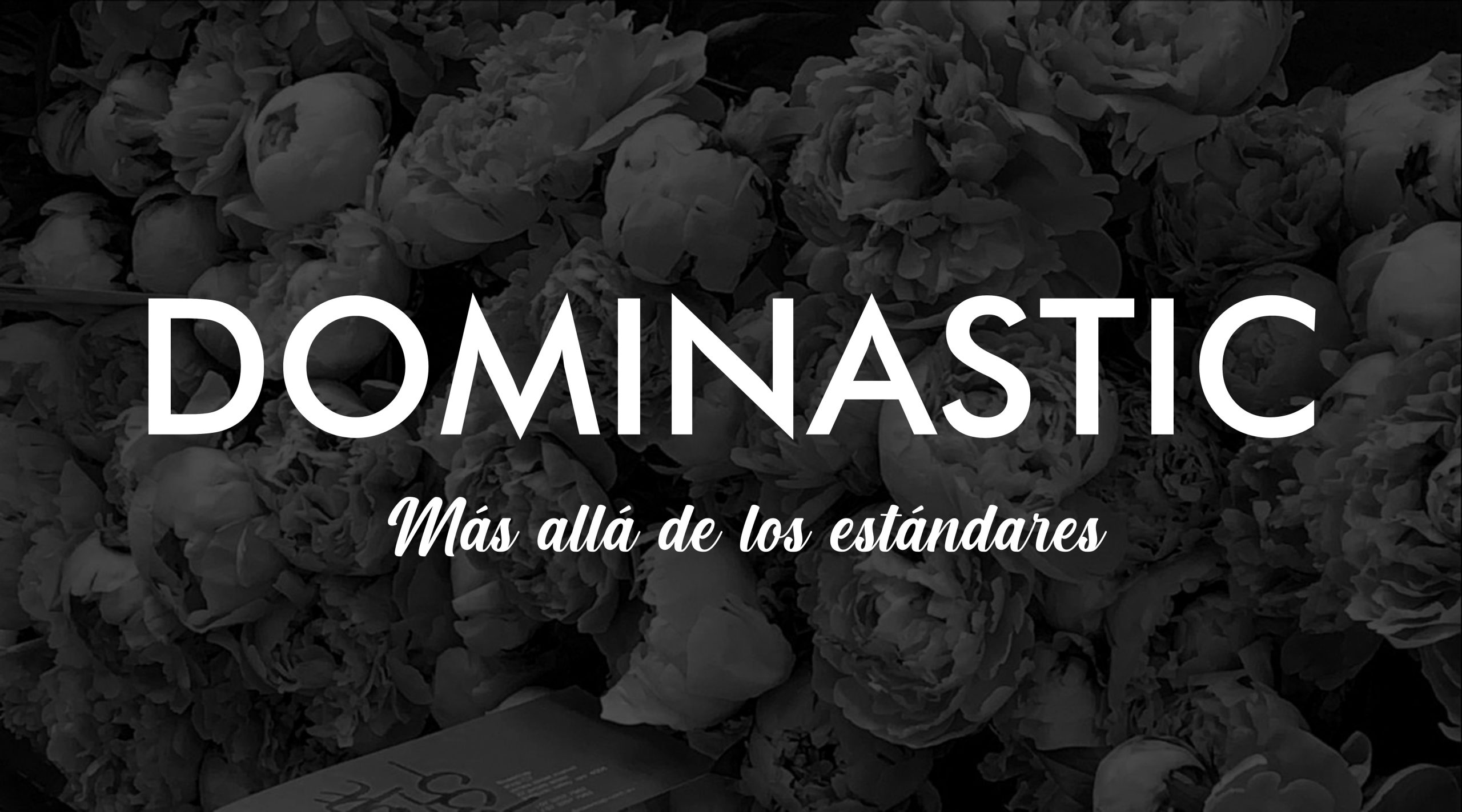 Web sobre emprendimiento de lencería – DOMINASTIC