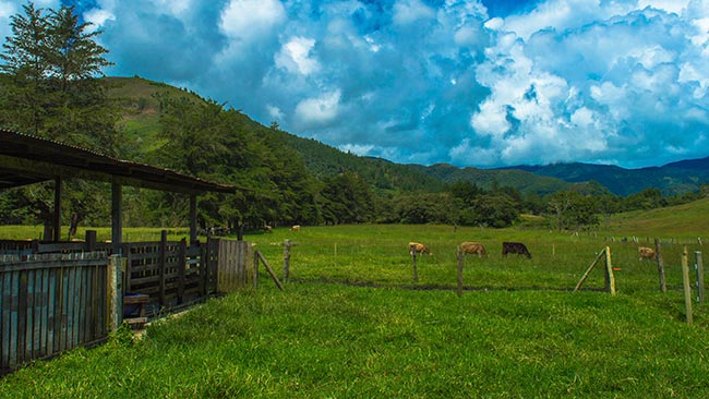 Web sobre Oxapampa – Una aventura en Oxapampa