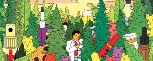 Web sobre la legalización de la marihuana – The Green Debate